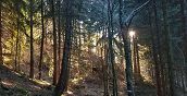 ossana-bushcraft-trentino