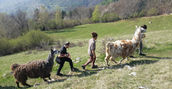 Escursione lama Blessagno Lombardia