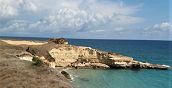 Passeggiata a cavallo sicura per bambini lungo la costa in Puglia