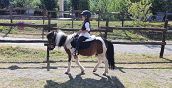 Passeggiata a cavallo per bambini in provincia di Parma, Val Noveglia