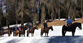 passeggiata-cavallo-coflari