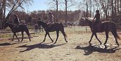 Passeggiata a cavallo tra le colline e i paesaggi naturali della Toscana