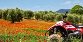 Val d'Orcia
