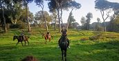 Paesaggi romantici durante una passeggiata a cavallo a Ostia