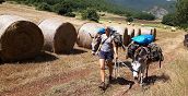 Passeggiata nella campagna abruzzese con asini