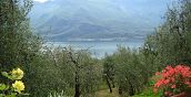 Panorami sul lago di Garda durante il noleggio quad
