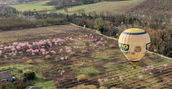 Panoramica del paesaggio lucchese visto dall'alto di una mongolfiera