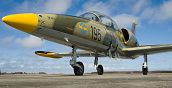 Vola con un pilota esperto su un L-39 Albatros: virate e loop