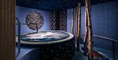 Whirpool a Villa Smetana Karlovy Vary