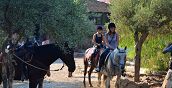 wild-adventure-vacanza-attiva-madonie