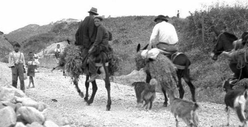 sicilia-trekking-asino