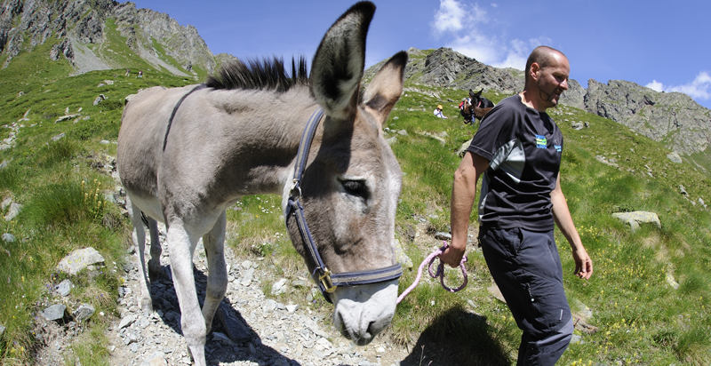 trekking-piemonte