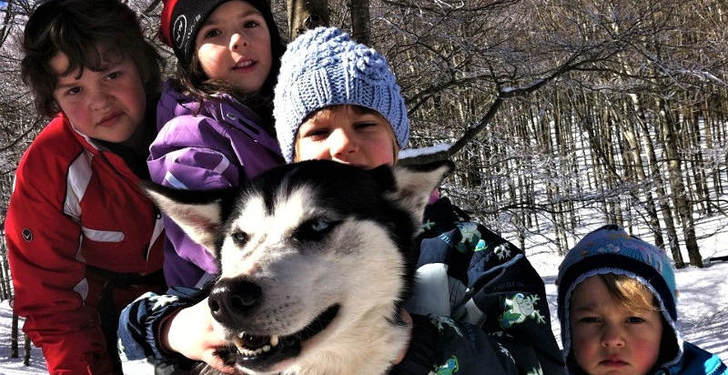 Trento escursione sleddog con pernottamento in agriturismo
