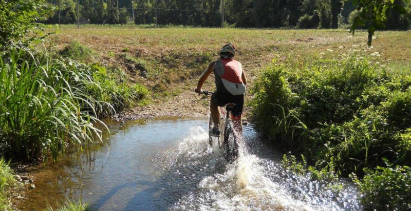 Mountain biking in Umbria - Corsi per principianti e esperti
